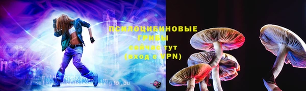 2c-b Осинники