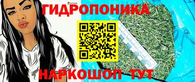 мдпв Жуковский