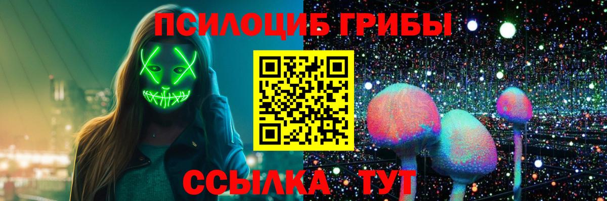 Красный Сулин  Галлюциногенные грибы Psilocybe  Вход с VPN 